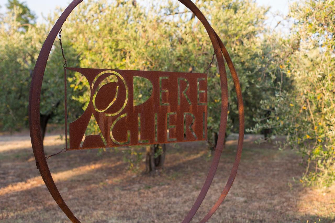 Podere Paglieri Apartments Montespertoli Dış mekan fotoğraf